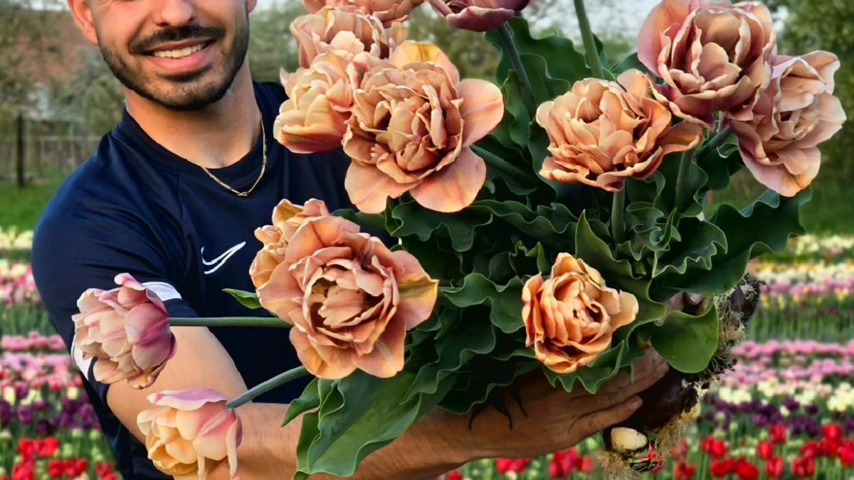 lalele-5_21486000_02620000