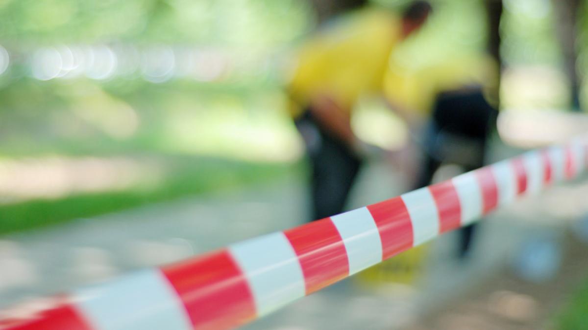 afaceristul-turc-care-ar-fi-ucis-o-pe-femeia-gasita-in-camp--langa-autostrada-a1--probleme-de-sanatate-mintala--avocat-nu-s-a-mai-prezentat-la-tratamente_91291400