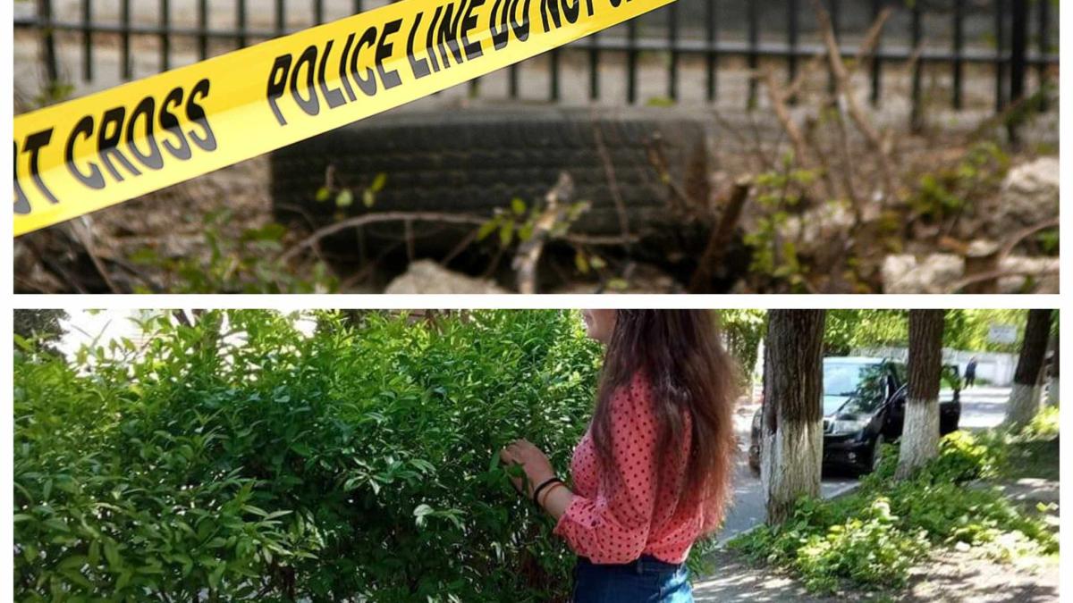 crima-republica-moldova_71448300