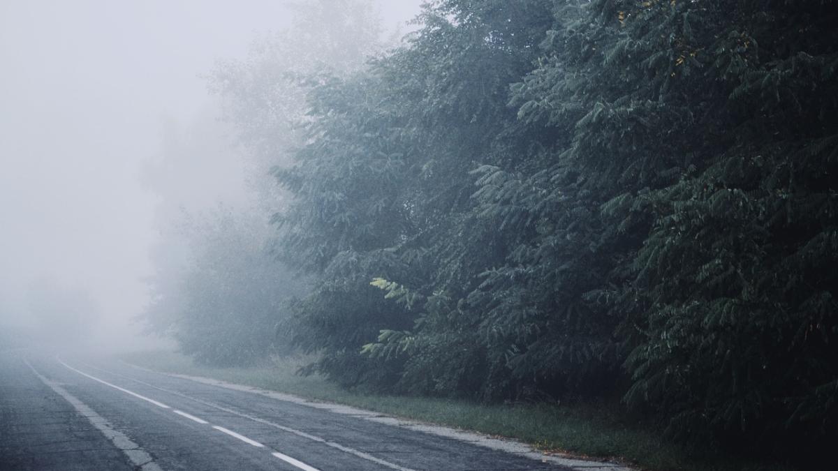 cod-galben-ceata_05229500