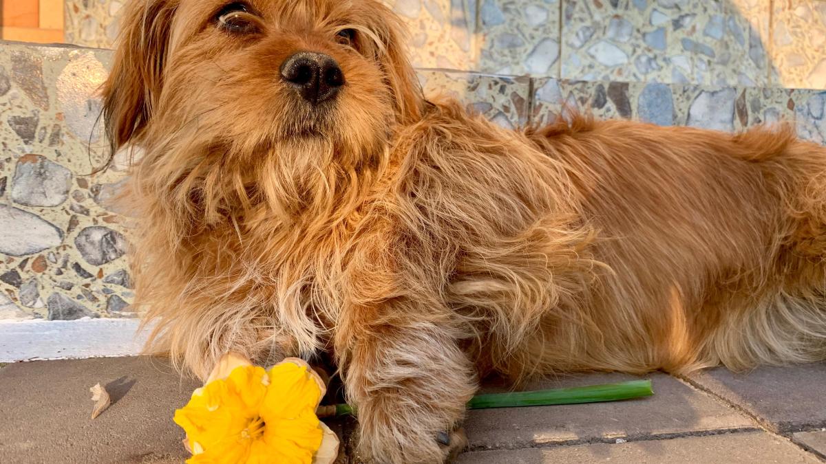 rigatone_93609400_27568800