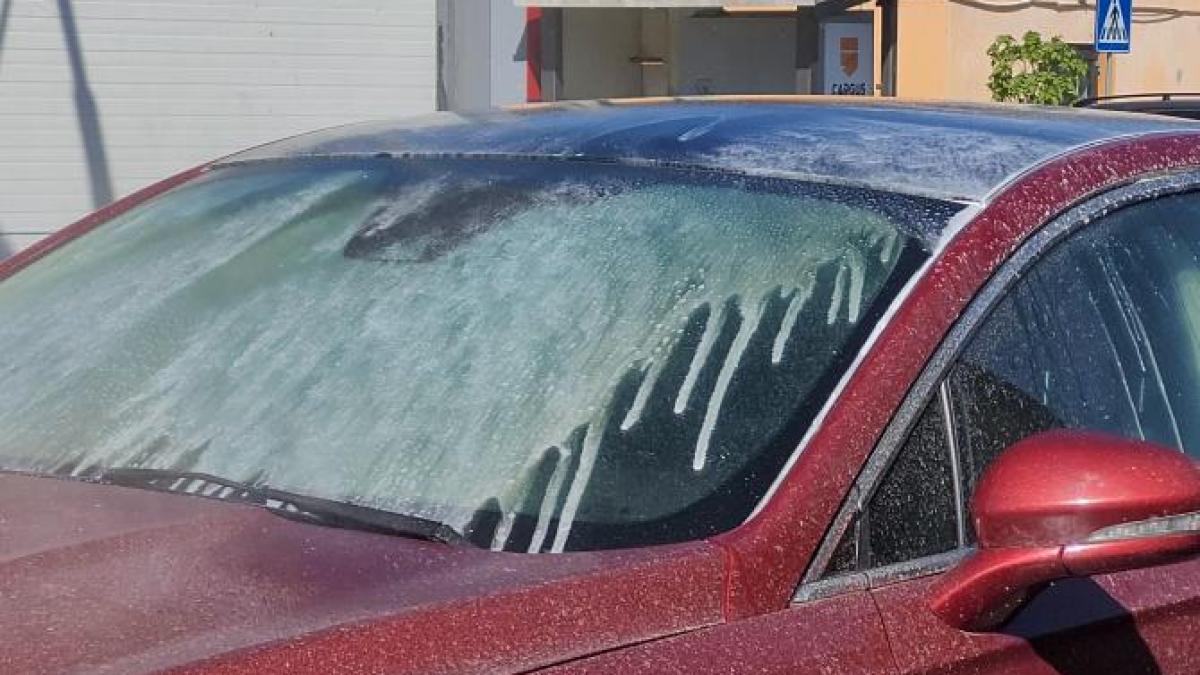 screenshot-2024-04-24-172459_26823700