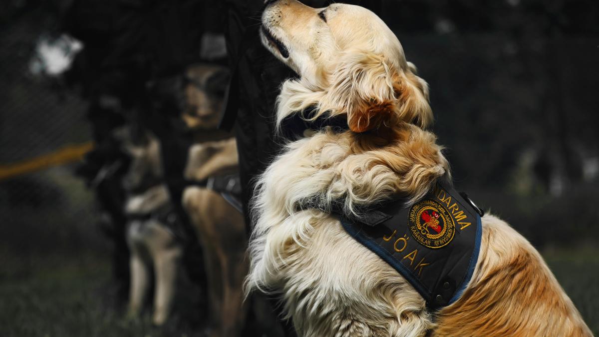 pexels-emreezer-7710541_08346800