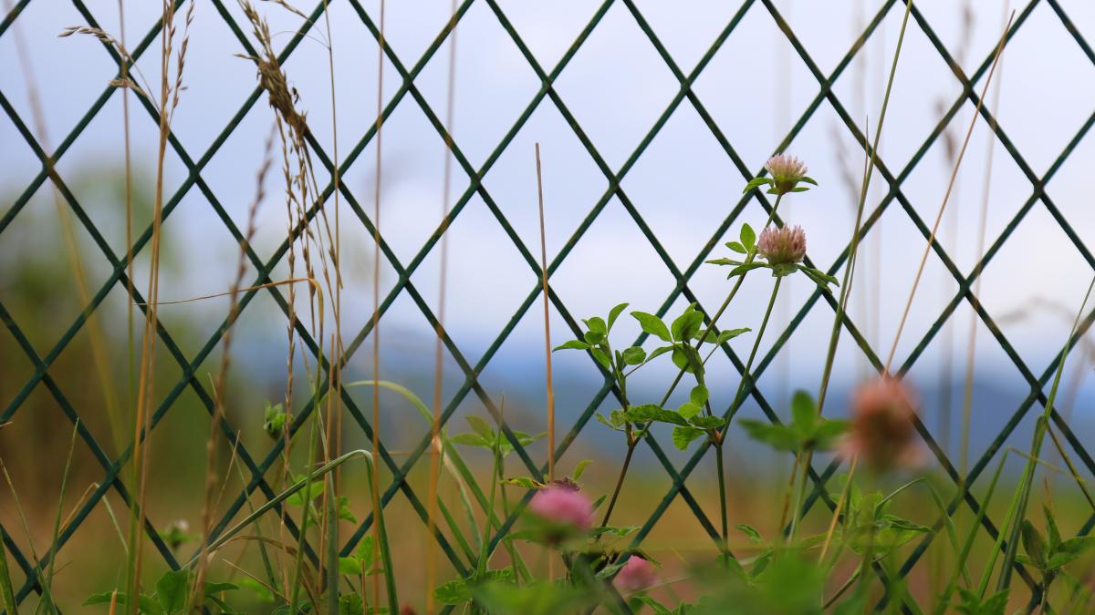 un-oras-isi-blocheaza-privelistea-spre-munte-pentru-a-evita-supraturismul-2_19323500