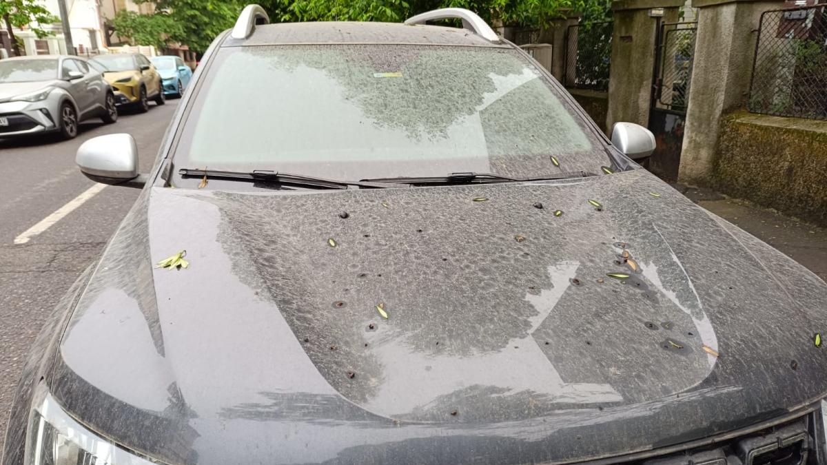 lasati dubaiul de ce sa stai in short in masina pe praful saharian in bucuresti video