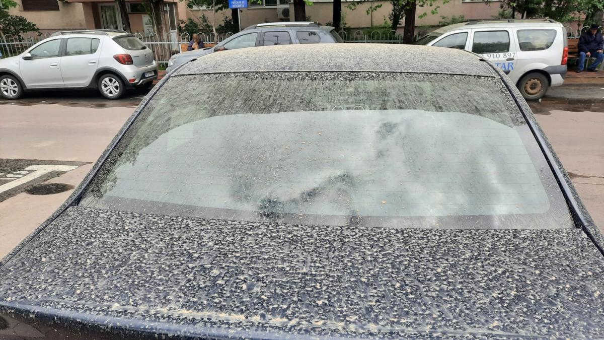 praful-in-bucuresti_77833500