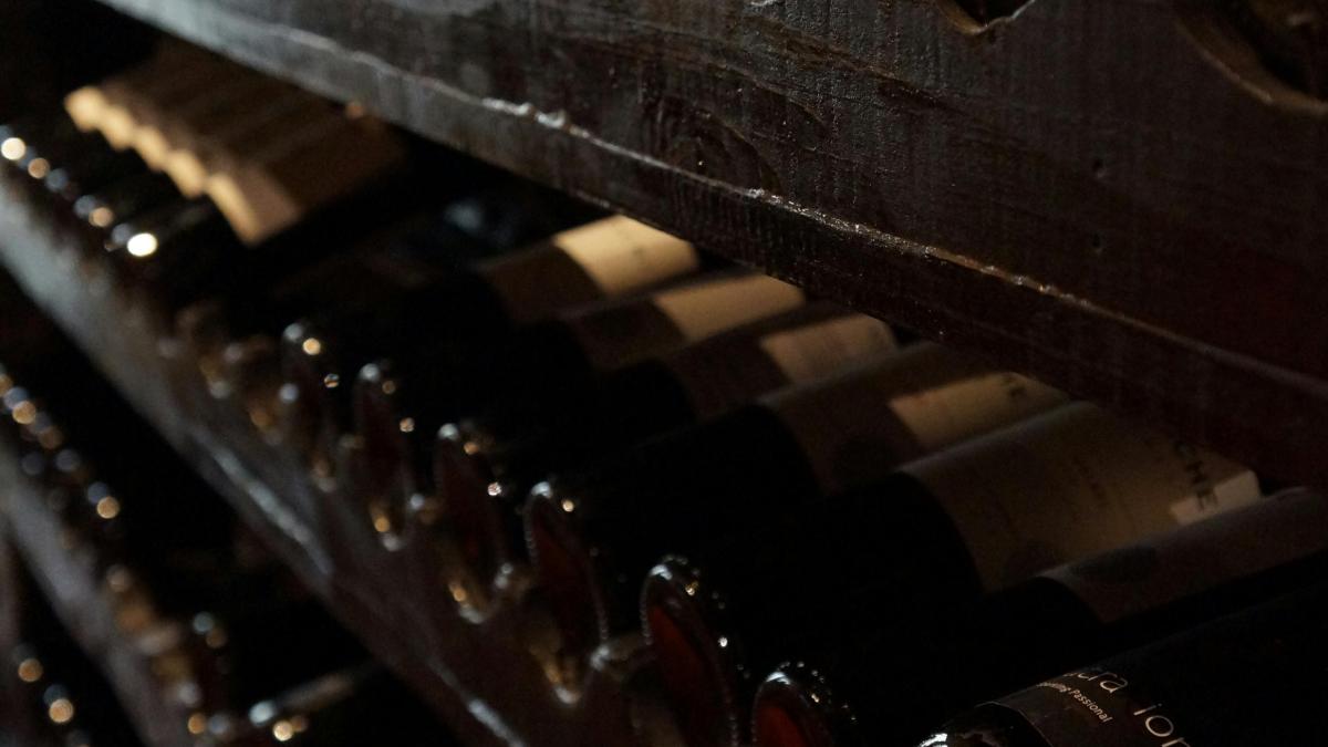 pexels-cantuariabruno-774455_74903200