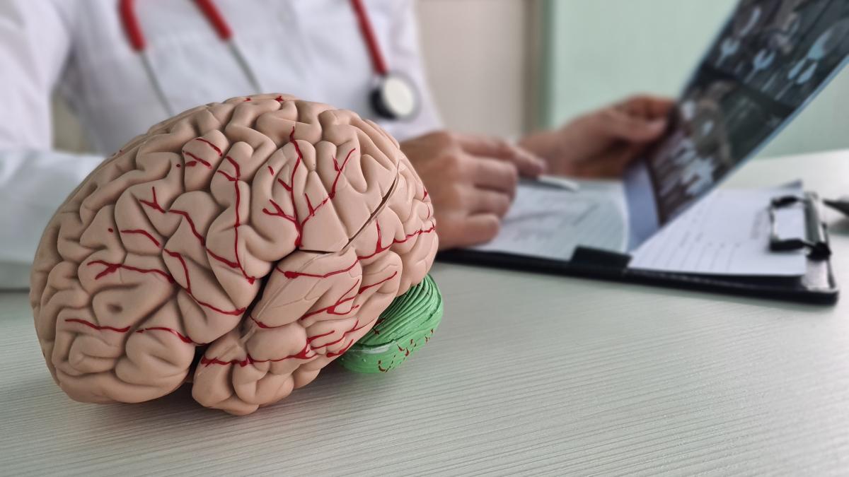 creier-doctor_58892700