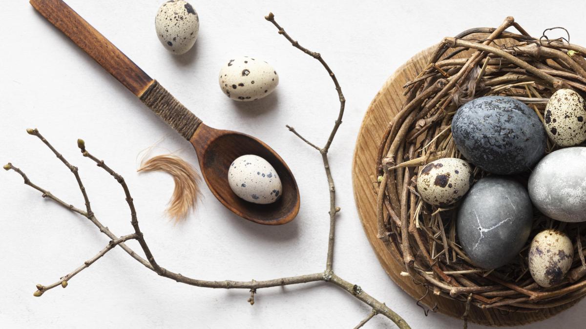 flat-lay-easter-eggs-bird-nest-with-wooden-spoon-twig_50296200_27796200