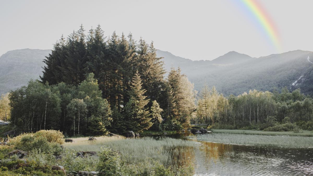 curcubeu-natura_04404000_95744600