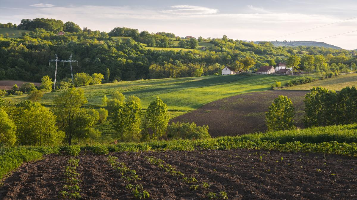 beautiful-horizontal-shot-green-field-with-bushes-trees-small-houses-countryside_72355300_77141400