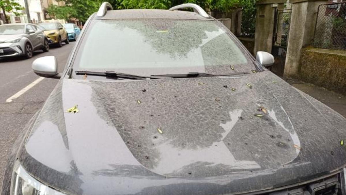 praf-saharian-dcnews-foto_55833200