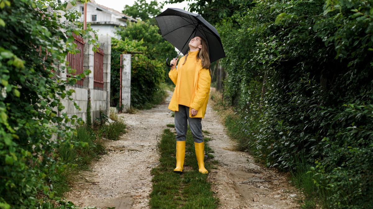 ploi-minivacanta-pasti_74778600