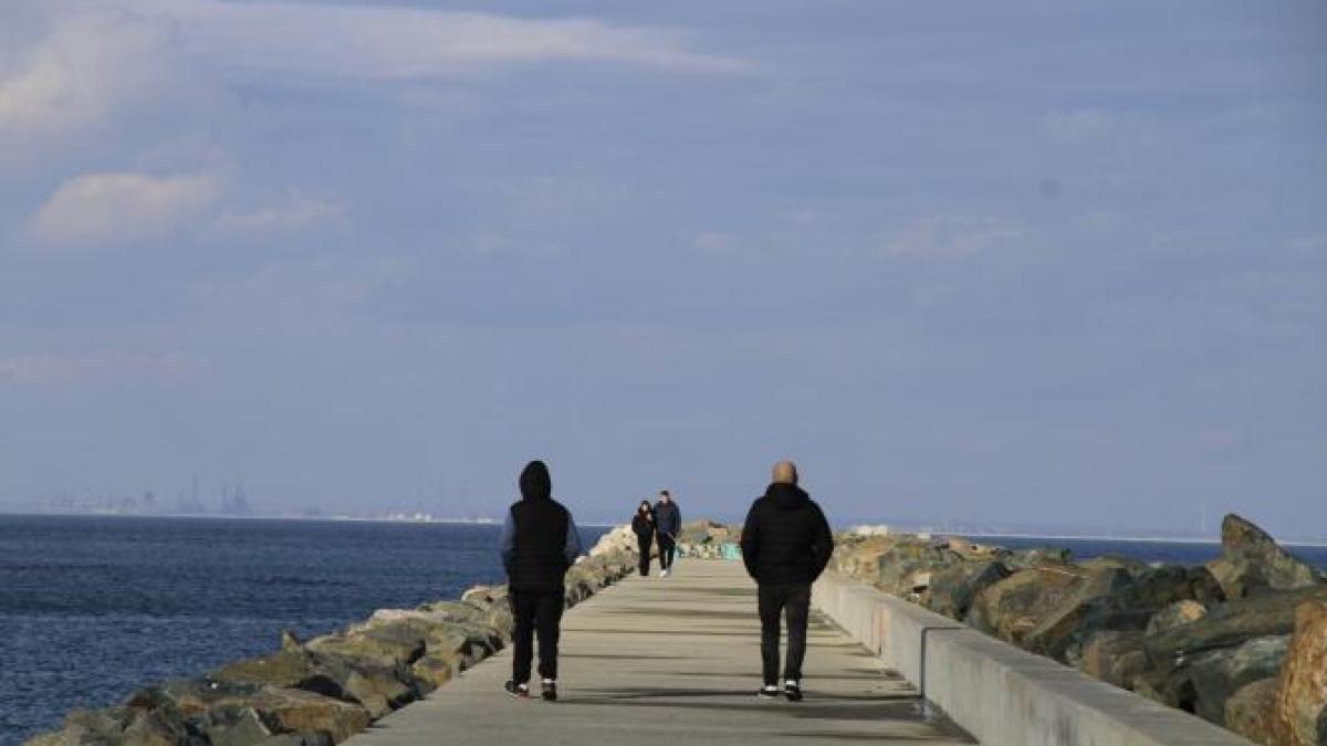 whatsapp-image-2024-03-12-at-17-47-00_96728100