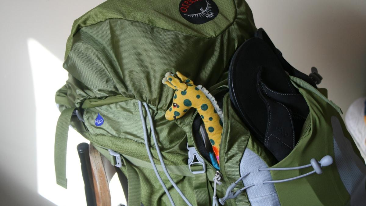 rucsac-rugenta-ministrul-apararii-polonia_26274200