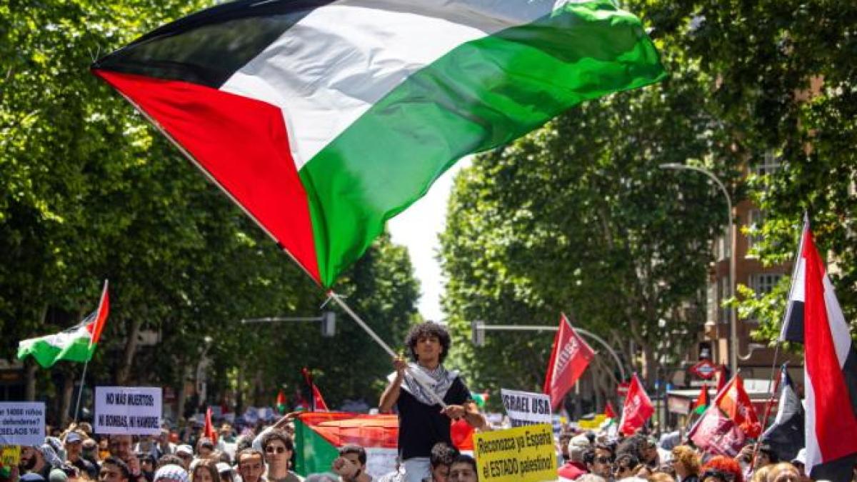 mii-de-protestari-pro-palestinieni-cer--la-madrid--incetarea-focului-in-fasia-gaza_21538400