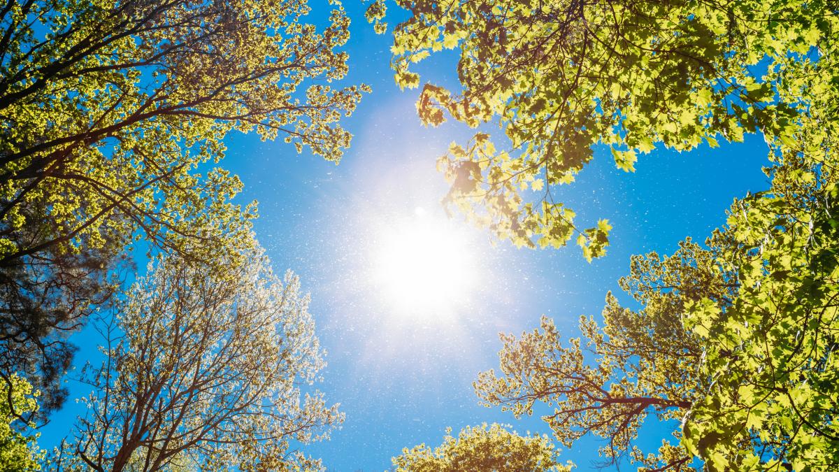 scapam-de-ploi-si-cresc-temperaturile--florinela-georgescu-anm-probabil-cu-doua-maxime-de-temperaturi-ridicate_57146600