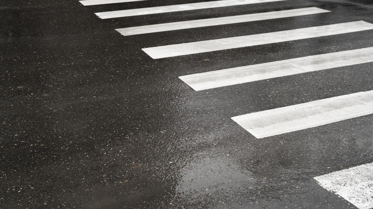 titi-aur-trecere-de-pietoni_13506300