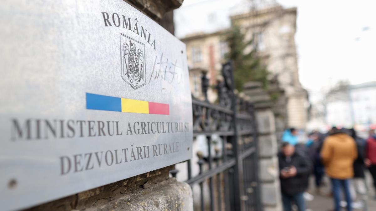 cati-angajati-sunt-in-cadrul-madr-si-de-cand-se-va-aplica-reforma-personalului--ceruta-prin-ordonanta-de-urgenta_30463800