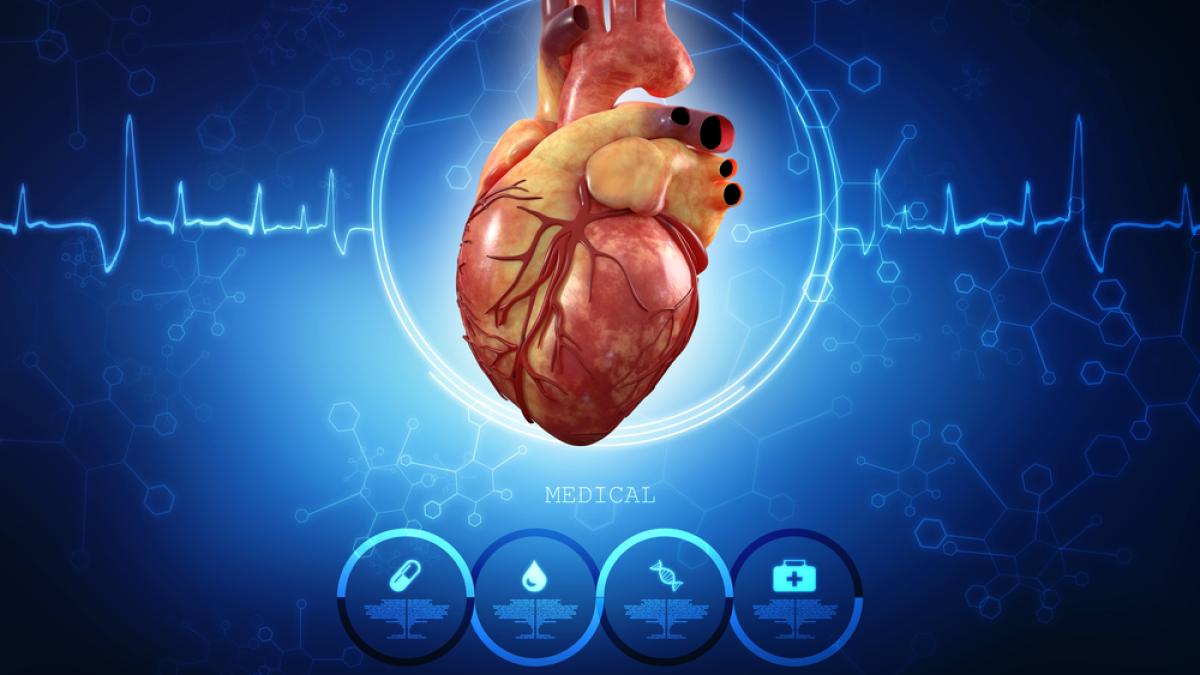 shutterstock_566048074-inima-reclama_19780500