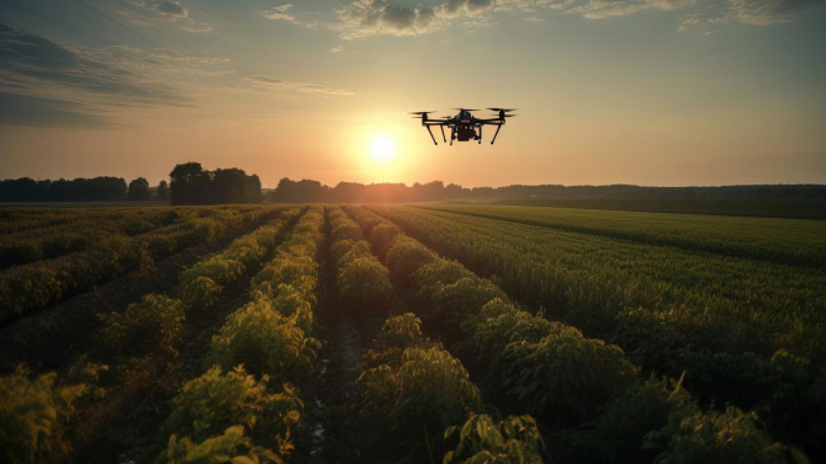 drona-mapn-explicatii_69188100