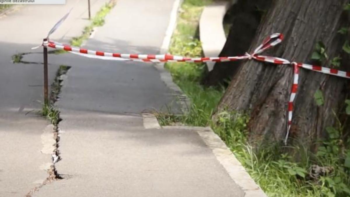 parc-herastrau_88418500