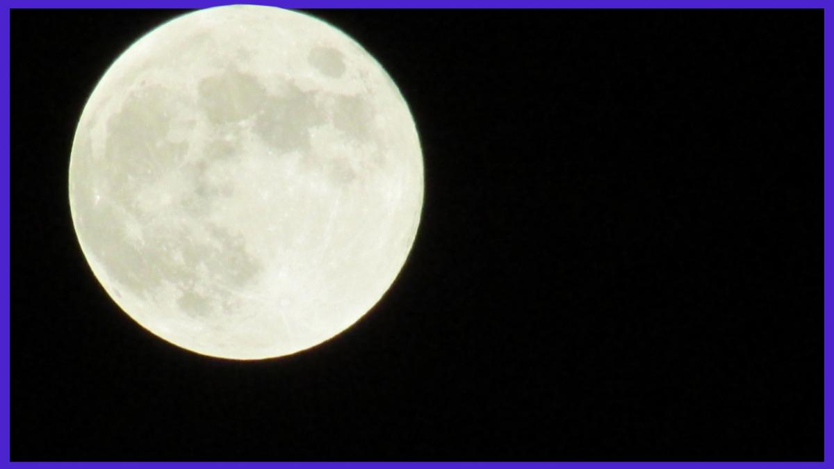 thumbnail-dc-news-tv---2_24888900