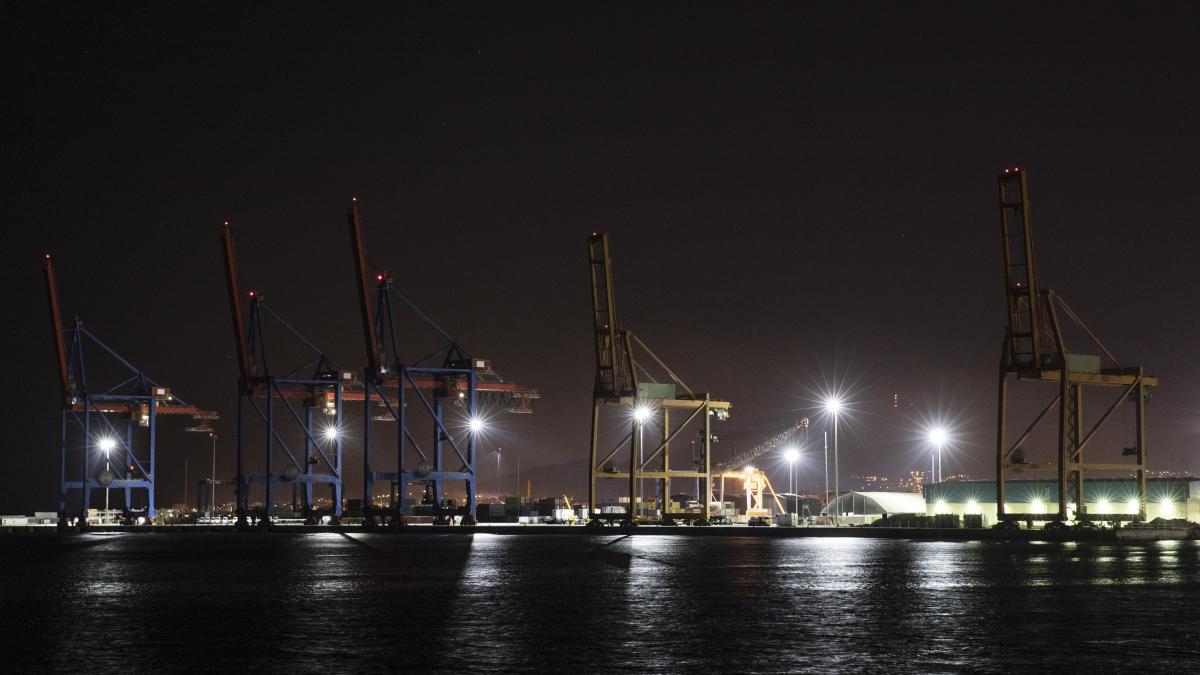 modernizare-port-turnu-magurele-adrian-gadea_39501300