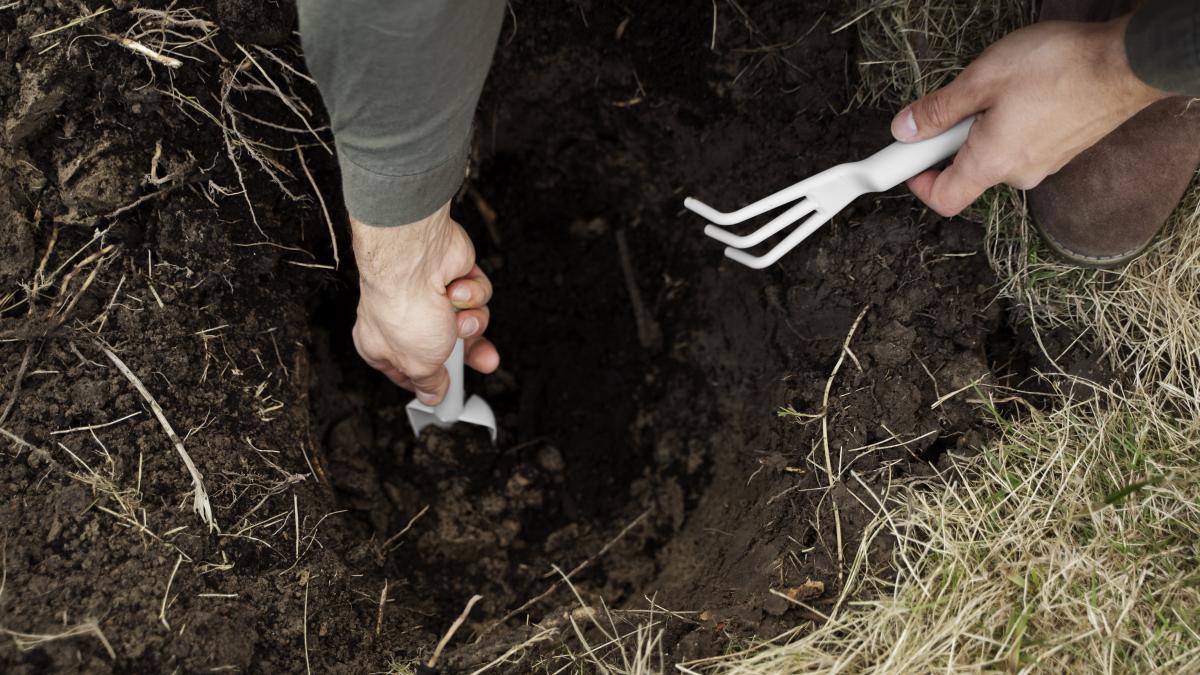 piatra-ciudata-in-curtea-casei_64097500