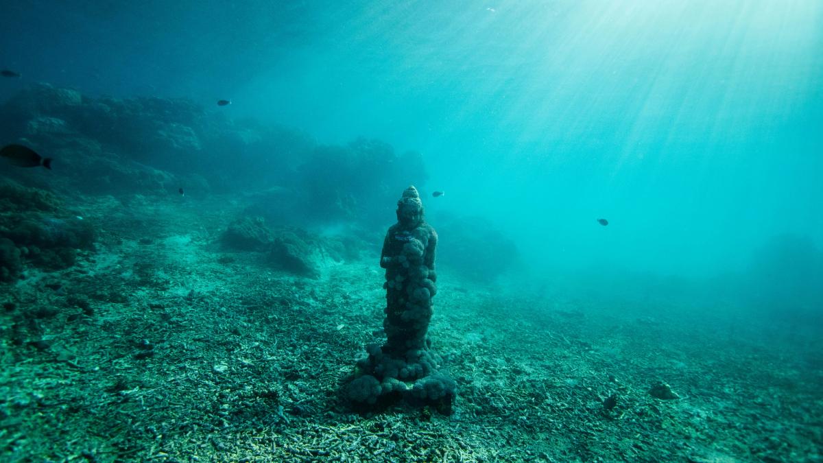 gauri-fundul-oceanului_54653100