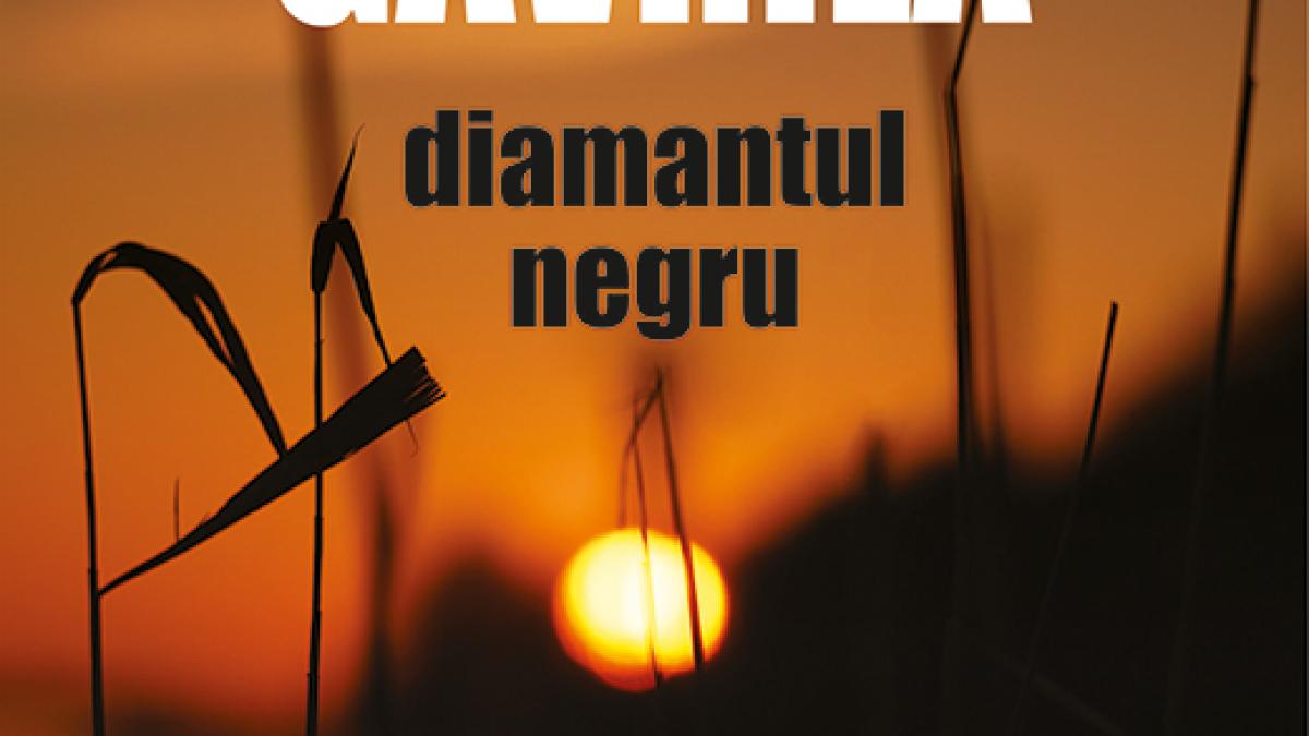 diamantul-negru_rgb_88313900