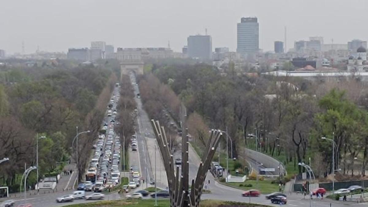 sahara-mediterana-pacla-bucuresti_57335800