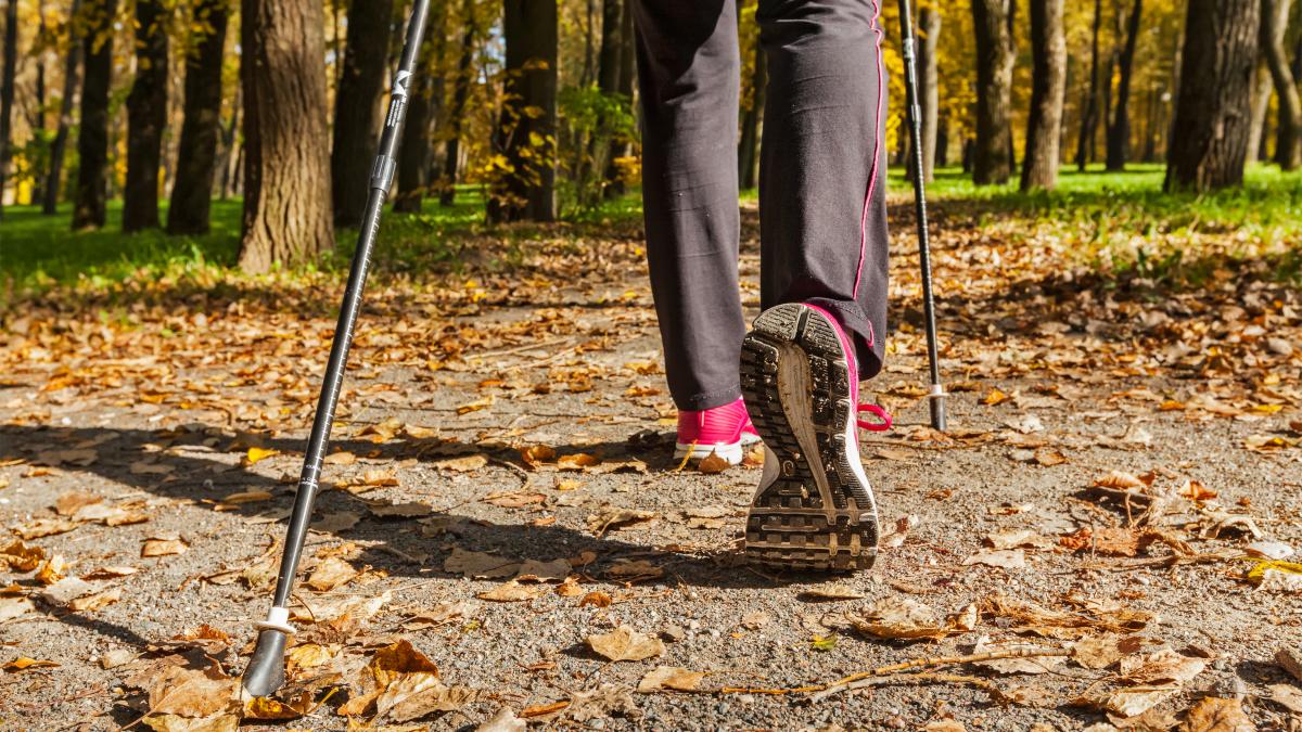 nordic-walking-mers_96616200
