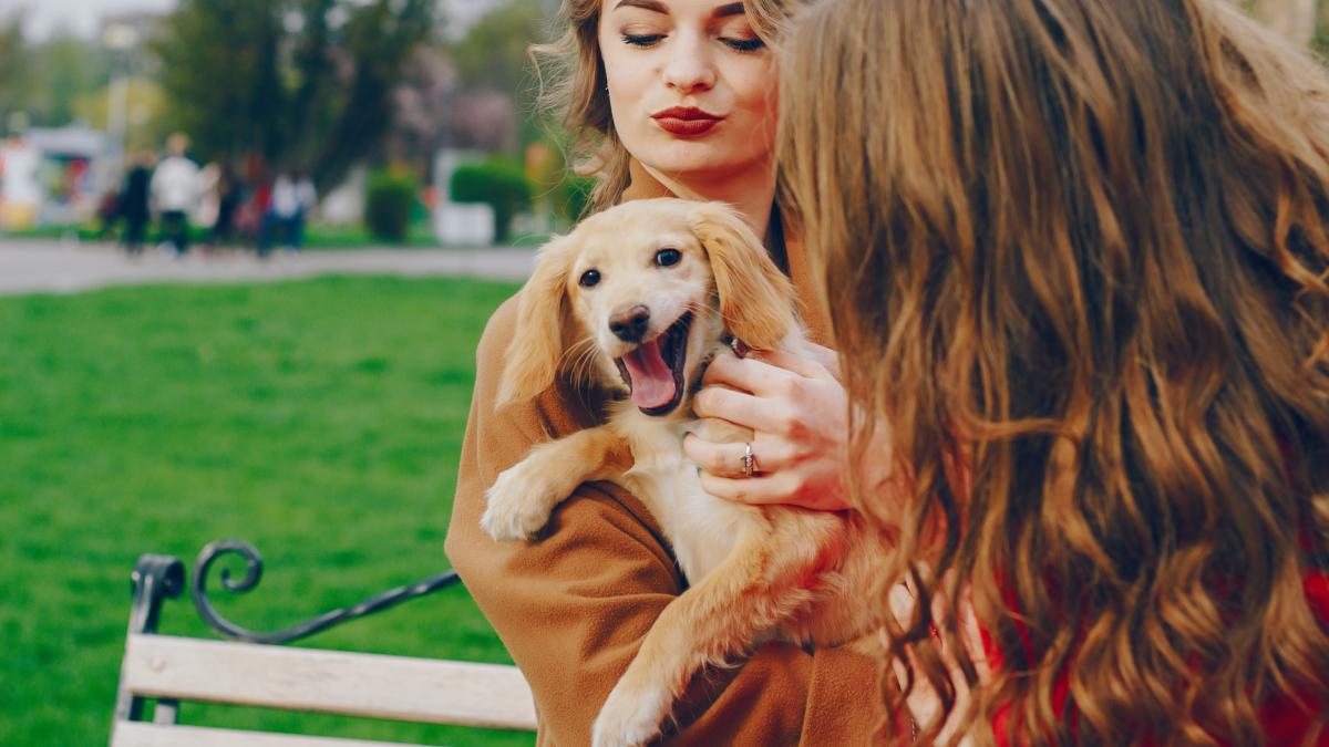 caine-girls-are-walking-park-with-dog_83237900