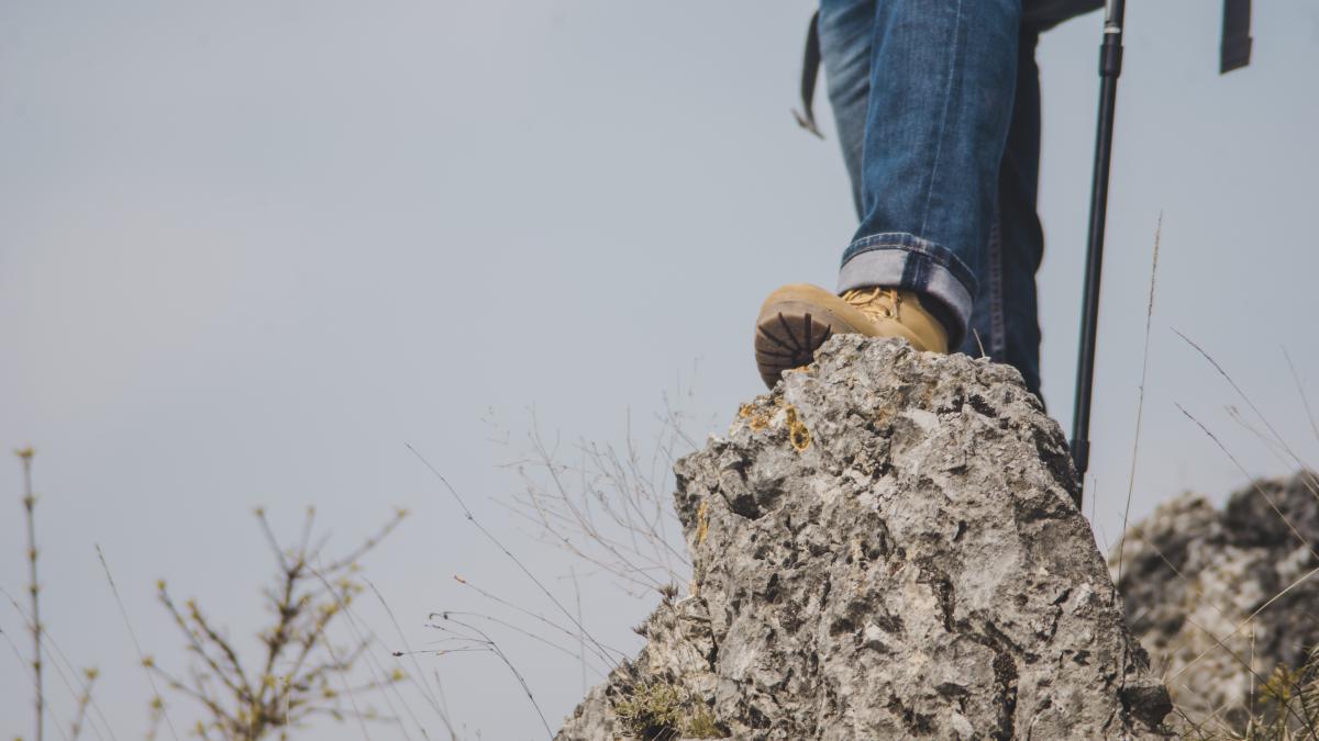 close-up-traveler-rock_63708900