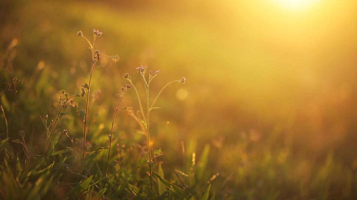 vreme-soare-anm_50763300