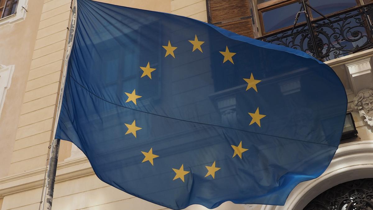 dan nica europarlamentarul roman cu influenta in ue dezvaluiri despre raportul care ii poarta numele si cum i a ajutat pe cercetatorii romani video