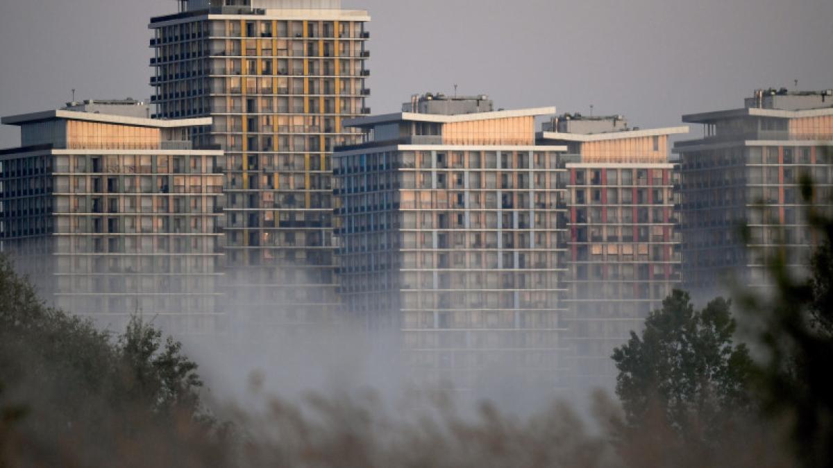 bucurestiul--o-oaza-pentru-salbaticie--ovidiu-rosu-avem-o-multitudine-gasim-si-specii-salbatice-pe-blocuri_35390100