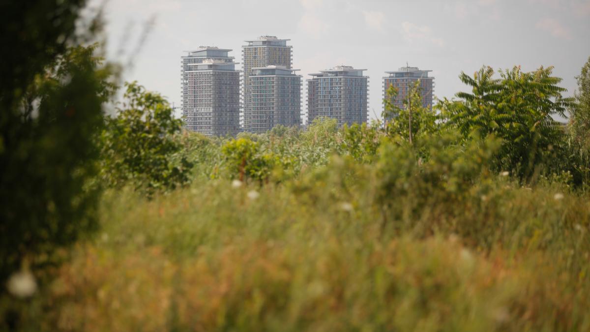 ce-trebuie-sa-faci-daca-te-intalnesti-cu-un-animal-salbatic-in-oras--ovidiu-rosu-esti-vazut-ca-pradator--aceste-animale-sunt-rapite_95766900