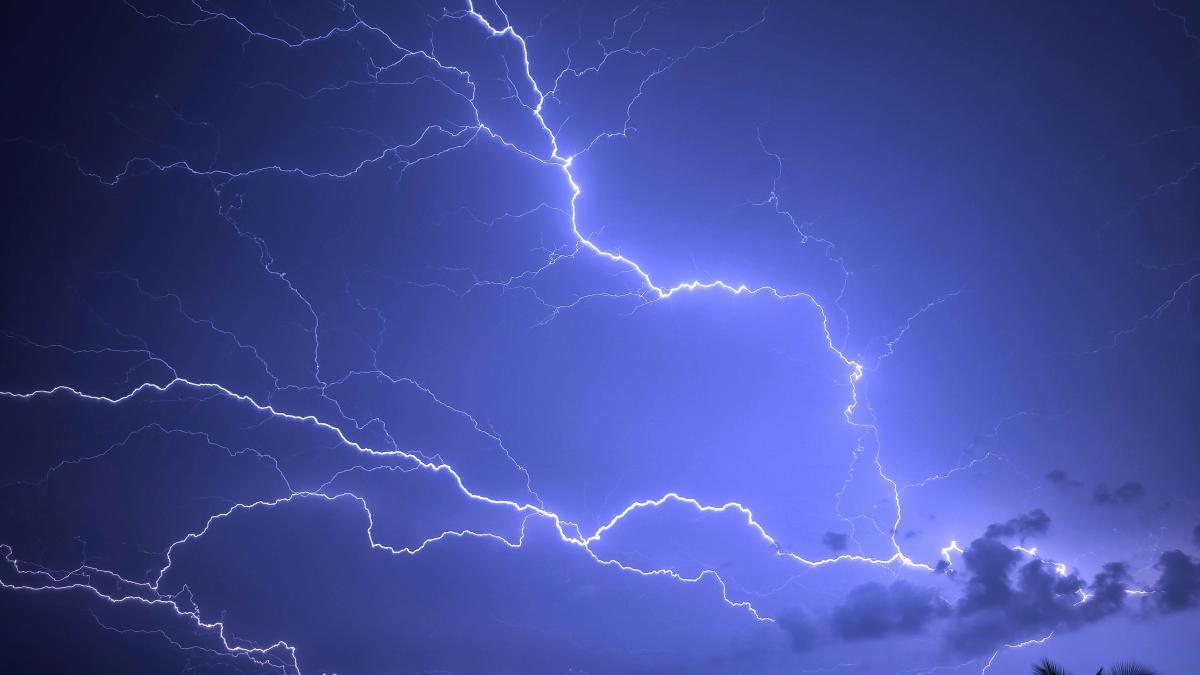 cod-portocaliu-de-vreme-rea_05473900