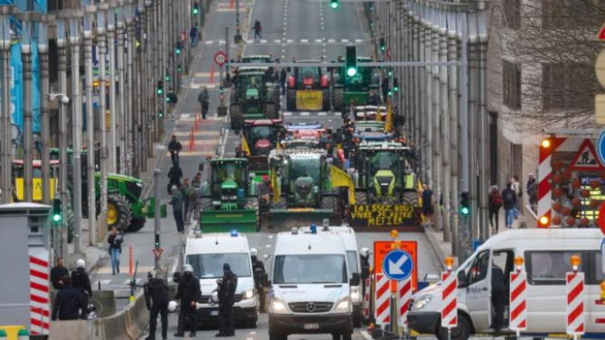 fermieri-bruxelles-3_53457900