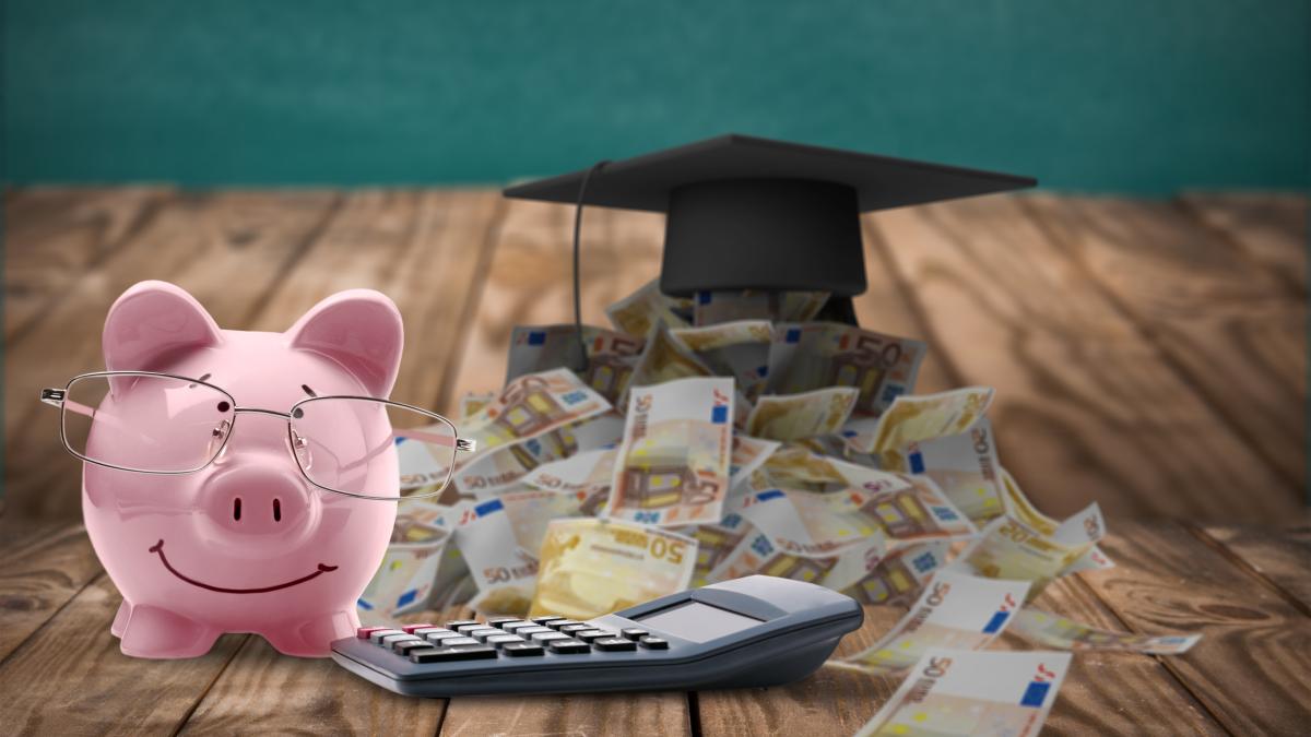 granturi-educatie_51656200