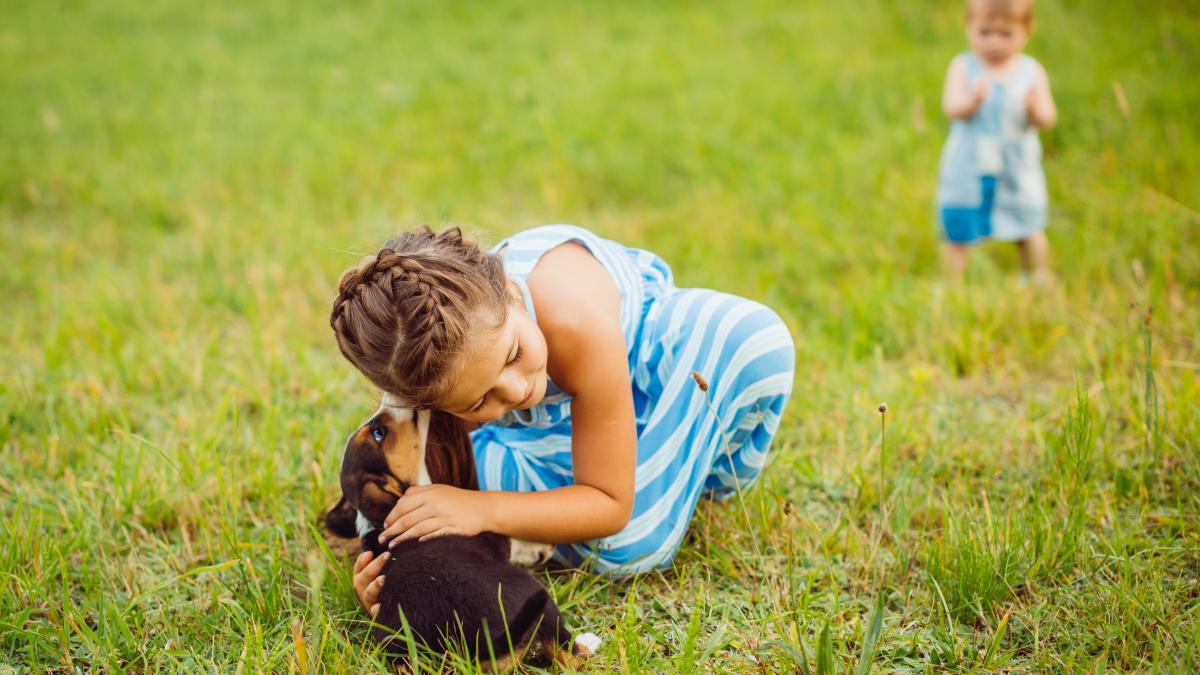 copil-caine_10583400