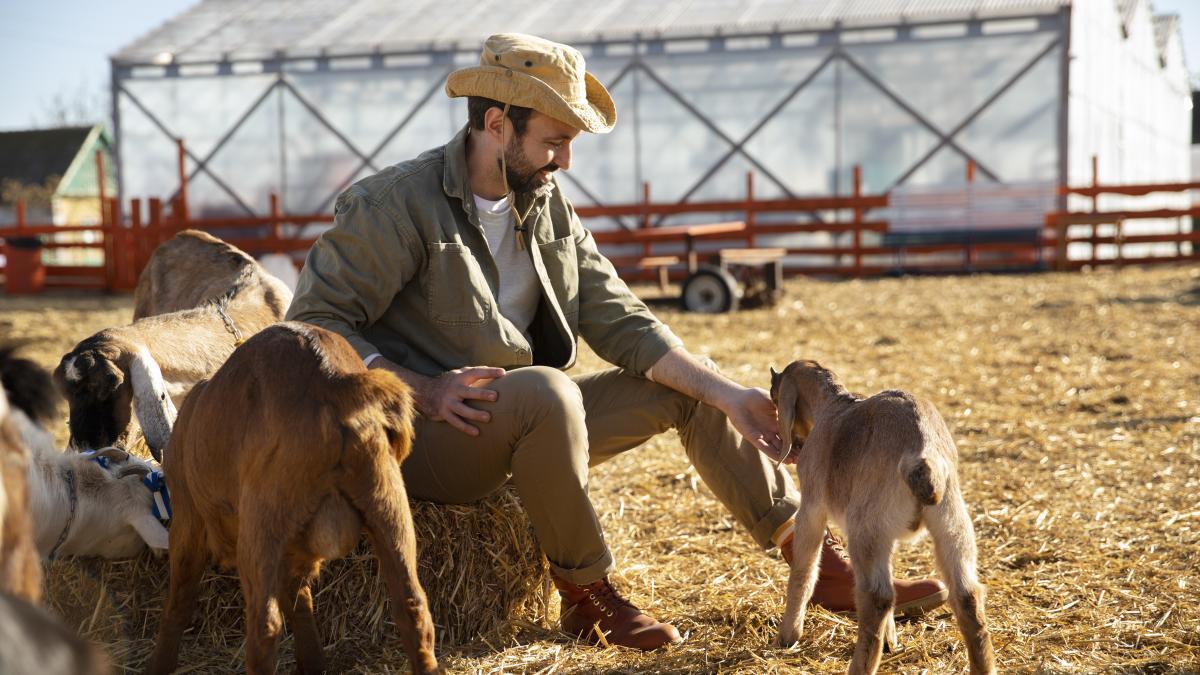 bani-fermieri_61548100