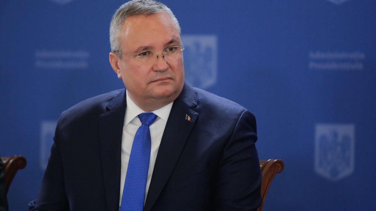 pnl va avea un scor foarte bun spune nicolae ciuca tinta la alegerile de duminica