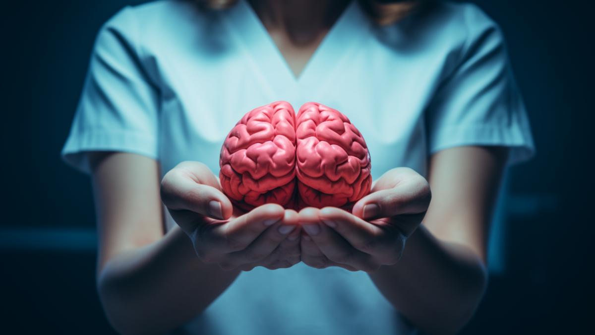 brain-creier_47233800