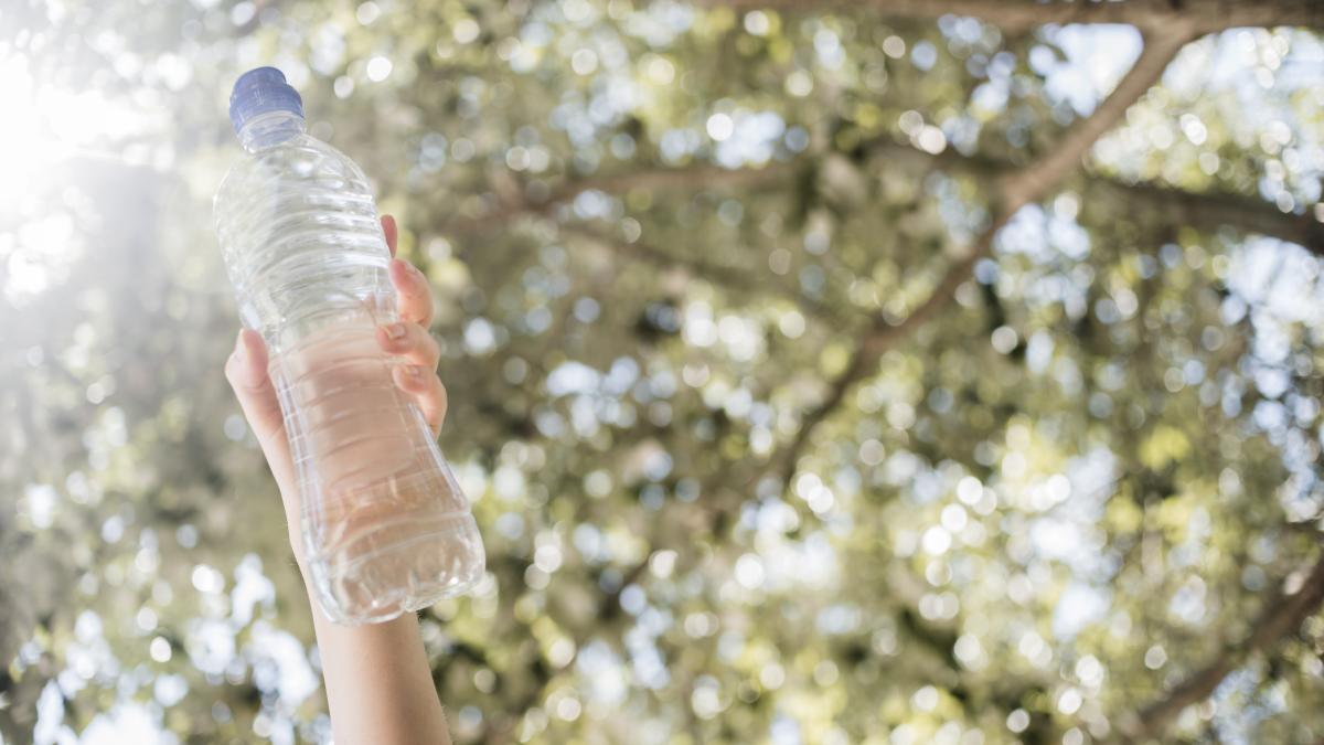 temperaturi-extreme-la-alegeri--romanii-trebuie-sa-si-ia-apa-cu-ei-la-urne_16299900