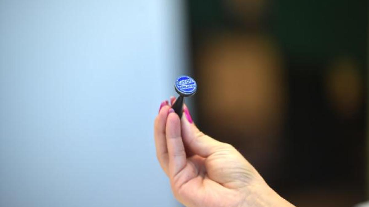 stampila-vot_91136700