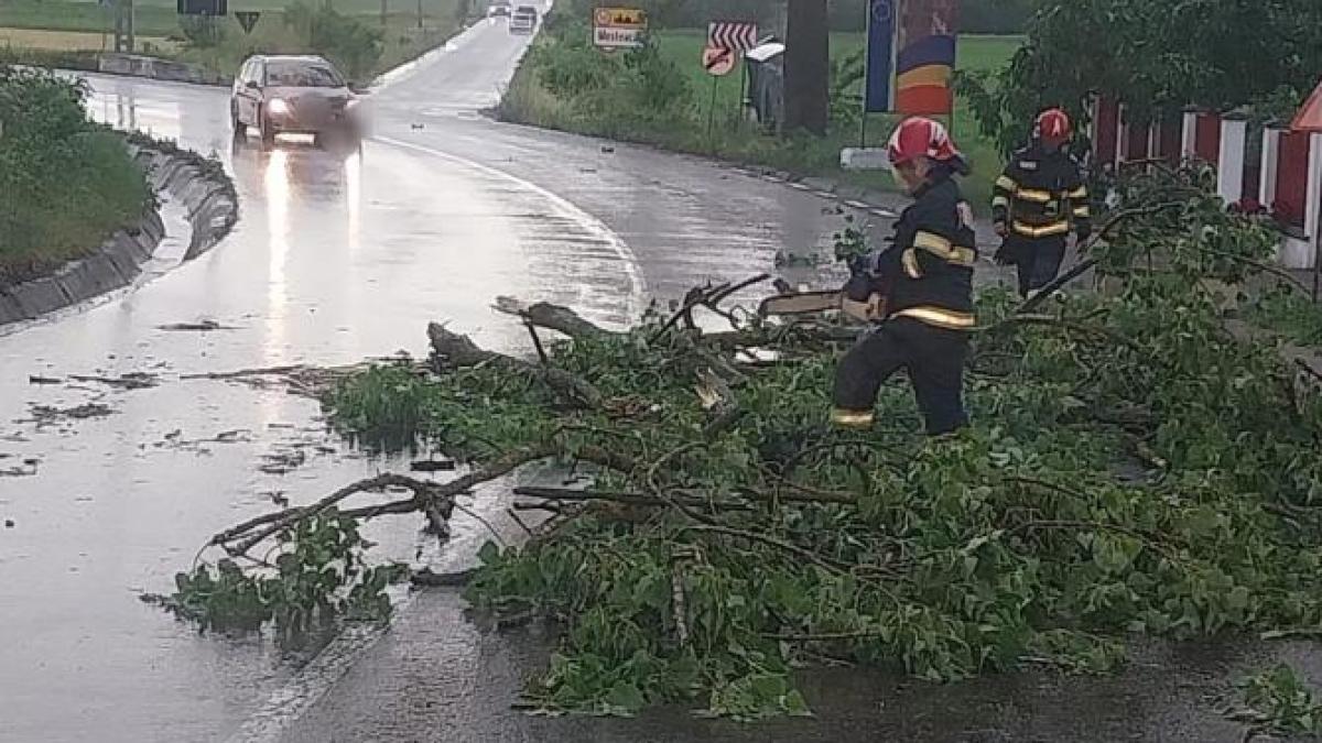 furtunile-au-facut-prapad-in-romania--copaci-cazuti-pe-drumuri-si-pe-calea-ferata--trenul-sibiu---timisoara--zeci-de-minute-intarziere-2_55008300