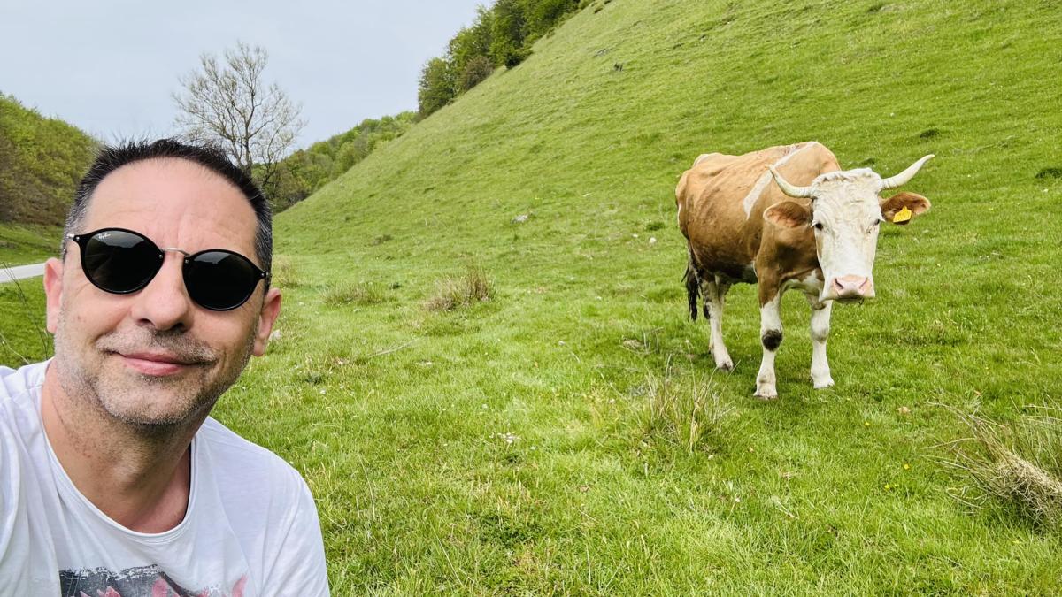 dan-negru-alegeri_84631800